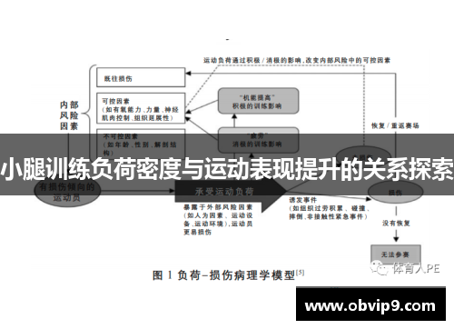 小腿训练负荷密度与运动表现提升的关系探索